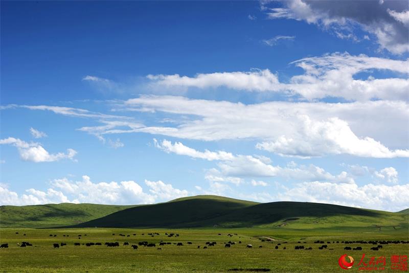 Paysages estivaux du comté d'Aba