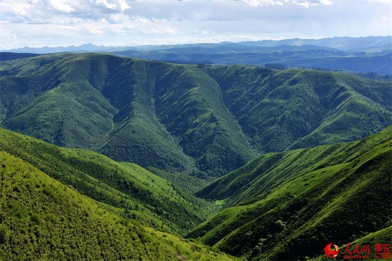 Paysages estivaux du comté d'Aba