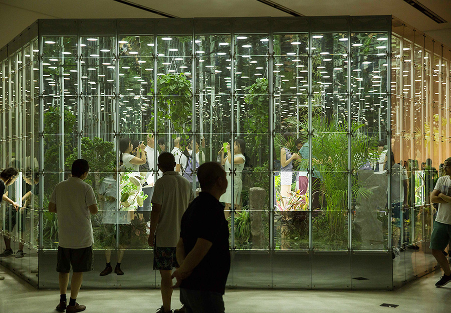 Un Jardin de Noé qui brouille la réalité et la perception