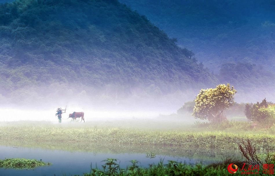 La rivière de Xin'an dans la brume avant l'aube