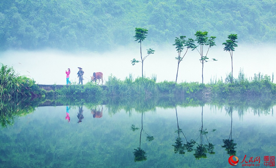 La rivière de Xin'an dans la brume avant l'aube