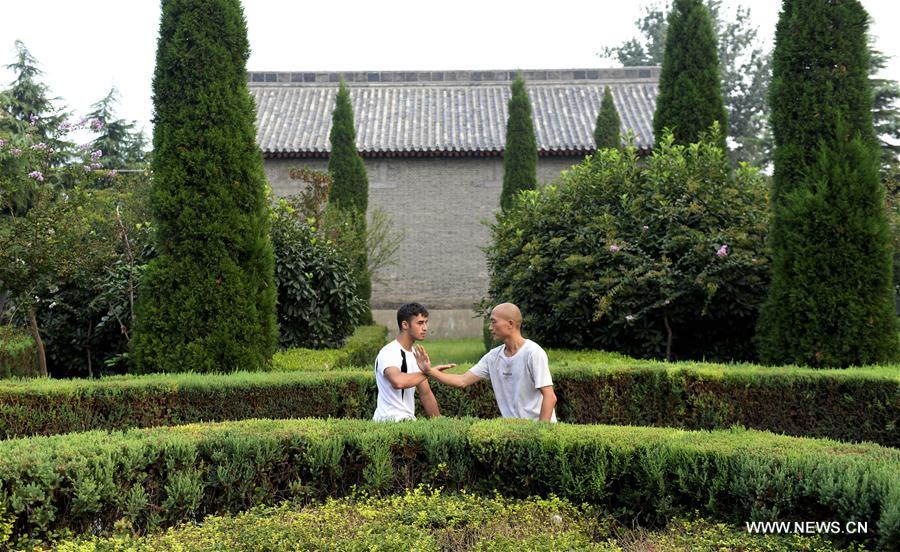 Tai-chi : des élèves étrangers dans le centre de la Chine