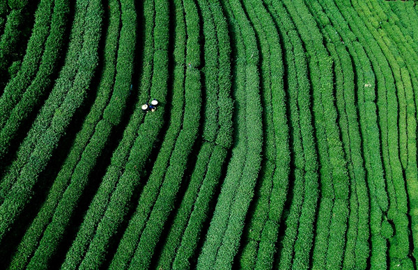 Hangzhou, paradis du tourisme et de la gastronomie