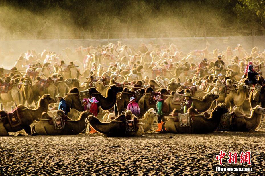 La beauté automnale du désert de Dunhuang