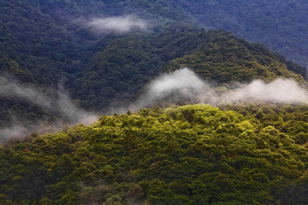 Le site naturel de Huangboyuan à Taibai : la beauté des paysages jusqu'à l'extrême