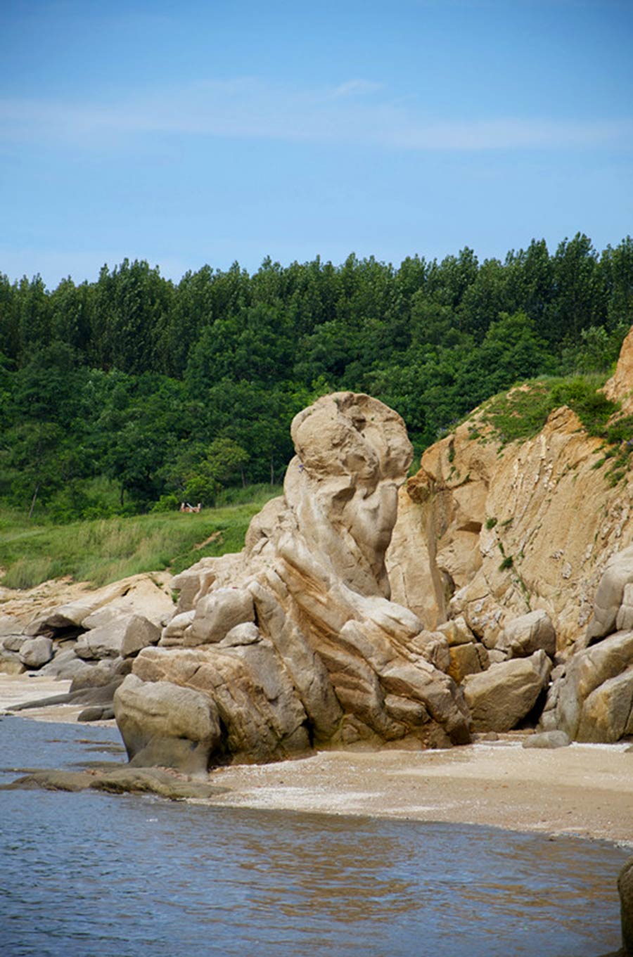 Les merveilles de la plage rouge de Tuanshan, dans le Nord-est de la Chine