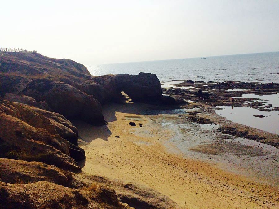 Les merveilles de la plage rouge de Tuanshan, dans le Nord-est de la Chine