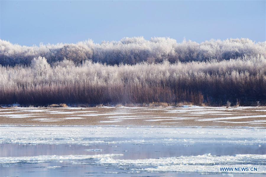 Forêt givrée dans le nord-est de la Chine