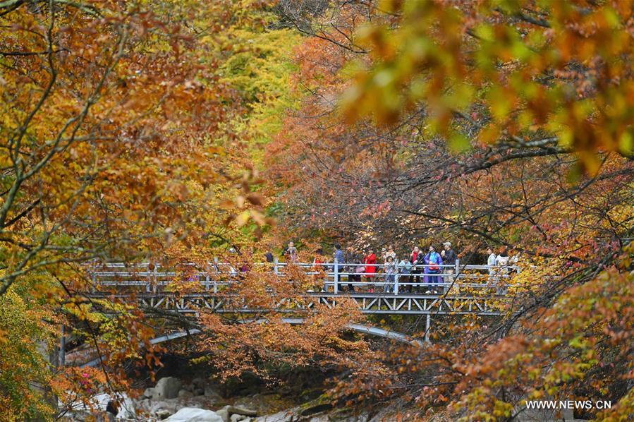 Paysage automnal dans le sud-ouest de la Chine