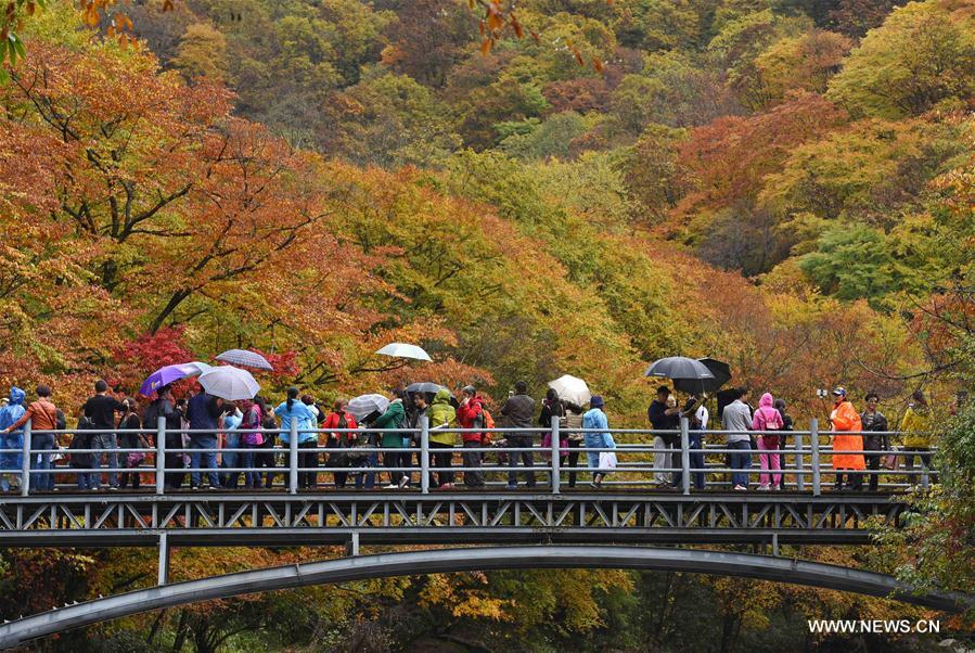 Paysage automnal dans le sud-ouest de la Chine