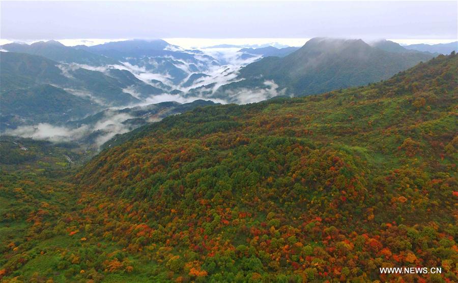 Paysage automnal dans le sud-ouest de la Chine