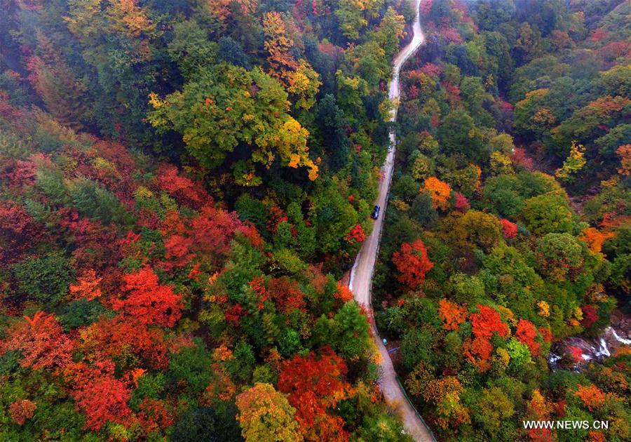 Paysage automnal dans le sud-ouest de la Chine