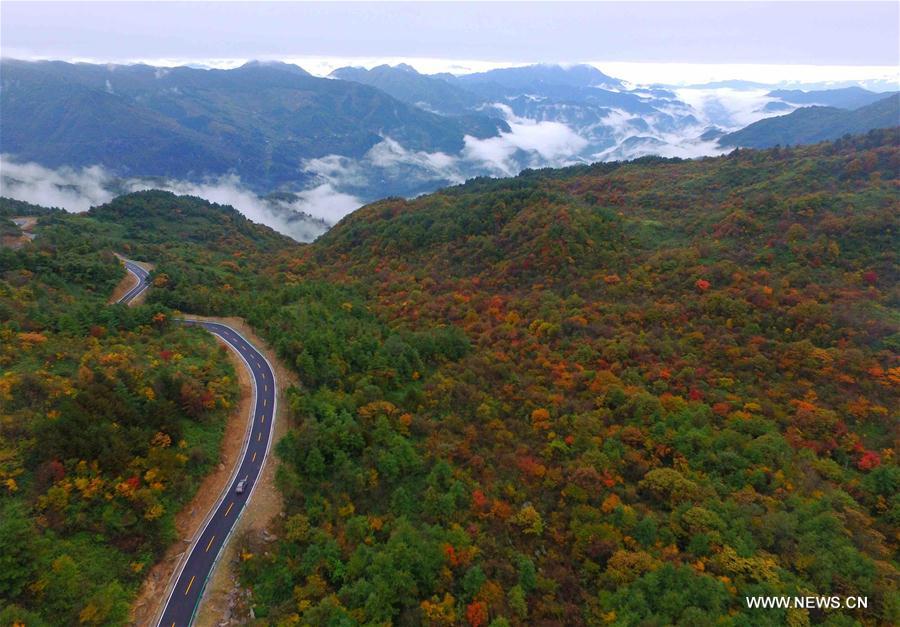 Paysage automnal dans le sud-ouest de la Chine