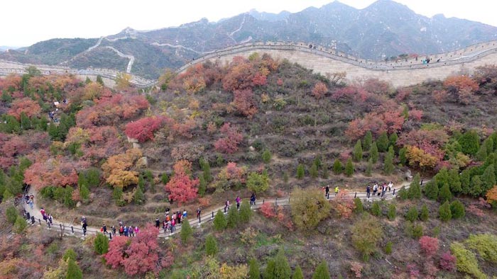 Un automne tout en couleur pour la Grande Muraille 