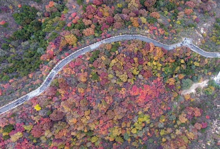 Un automne tout en couleur pour la Grande Muraille 