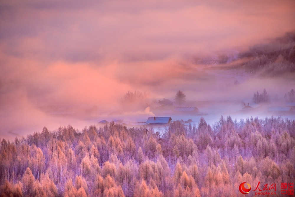 Splendeurs des forêts du Grand Khingan