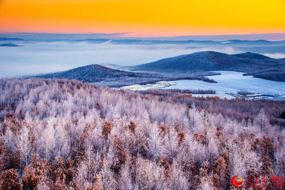 Splendeurs des forêts du Grand Khingan