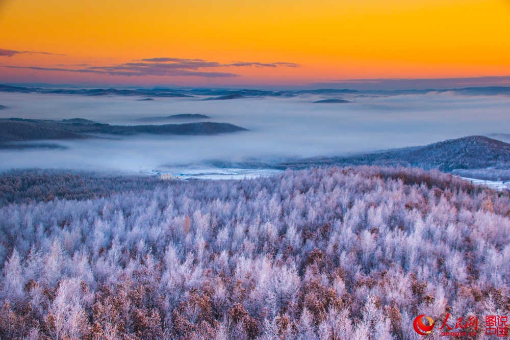 Splendeurs des forêts du Grand Khingan