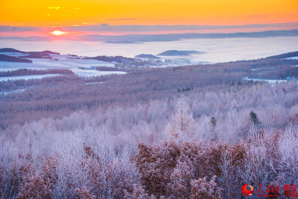 Splendeurs des forêts du Grand Khingan