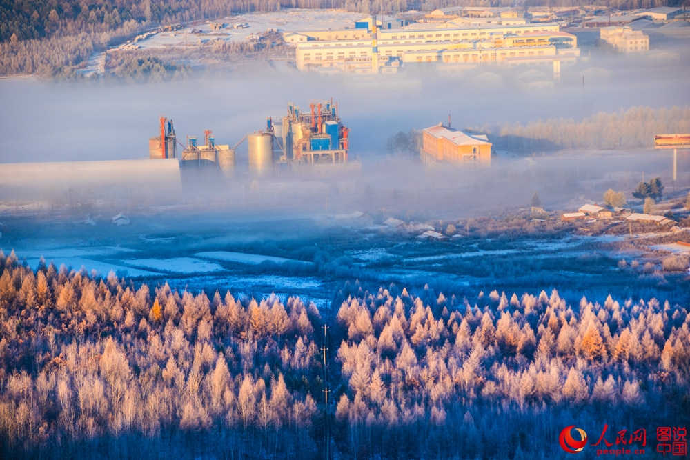 Splendeurs des forêts du Grand Khingan