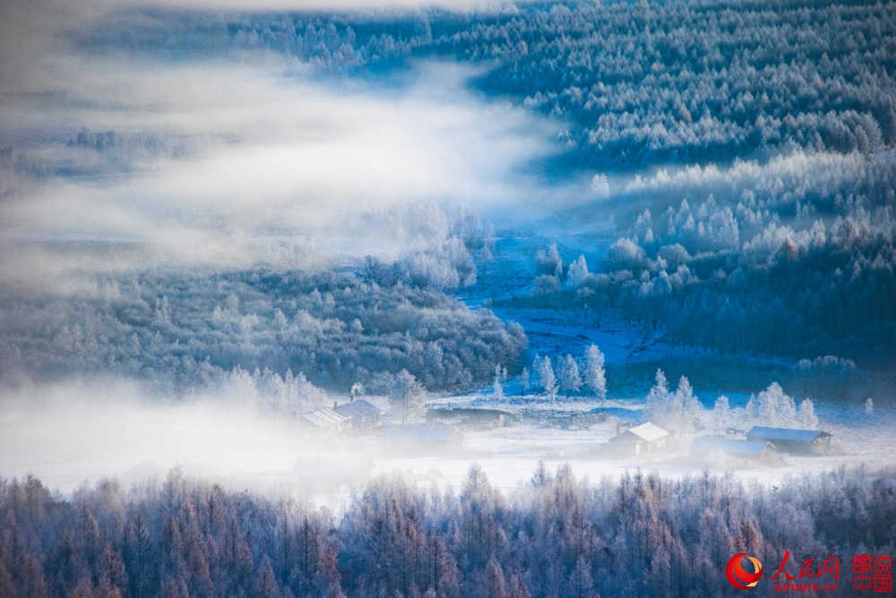 Splendeurs des forêts du Grand Khingan