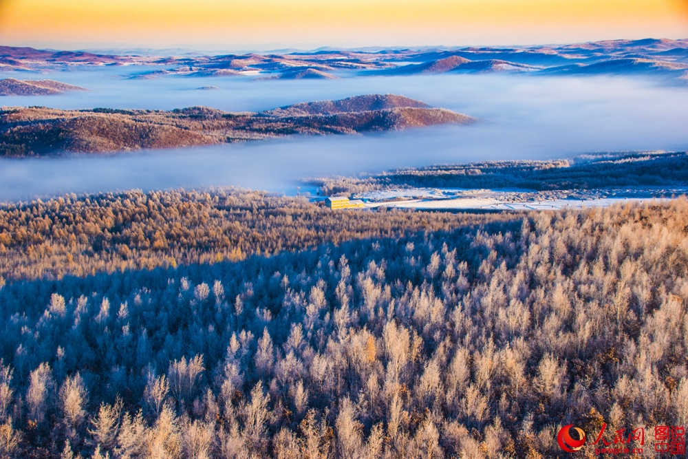 Splendeurs des forêts du Grand Khingan