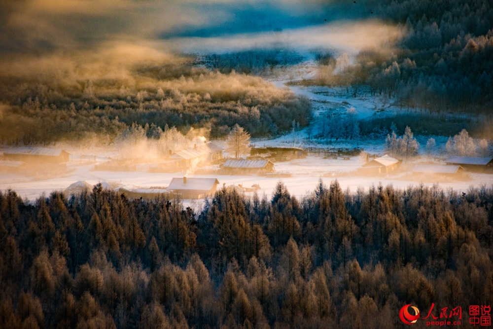 Splendeurs des forêts du Grand Khingan