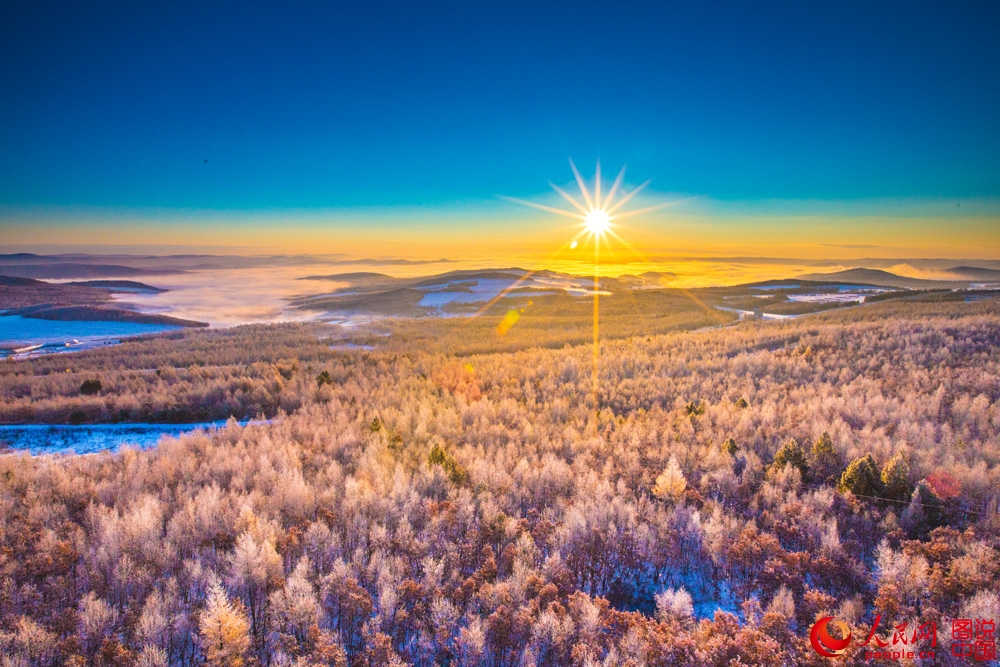 Splendeurs des forêts du Grand Khingan