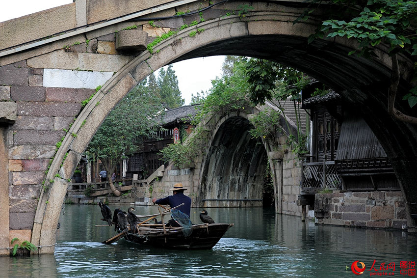 Wuzhen, la célèbre ville d'eau du Zhejiang