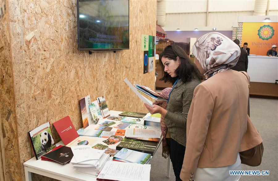 COP 22 : ouverture du pavillon de la Chine