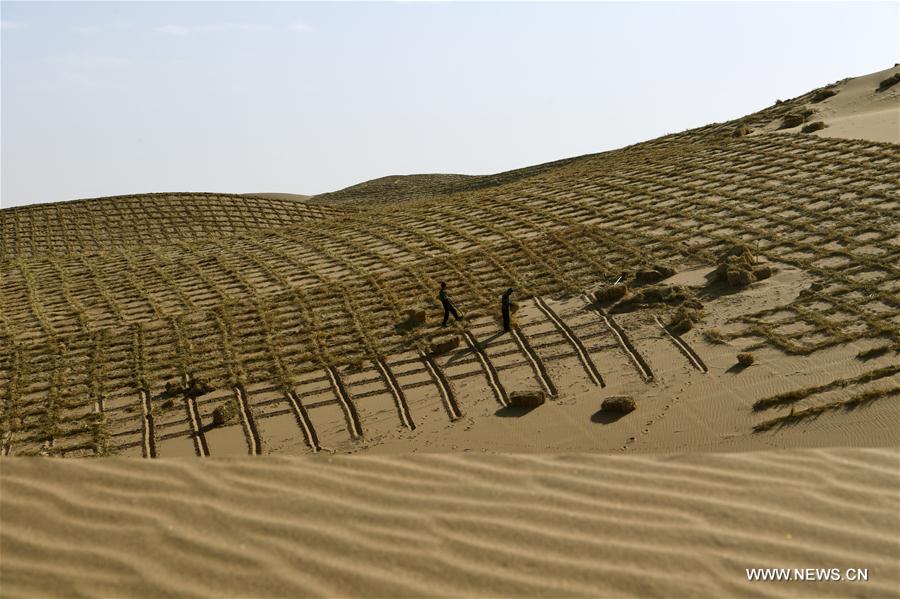 Stabilisation du sable dans un désert dans le nord-ouest de la Chine