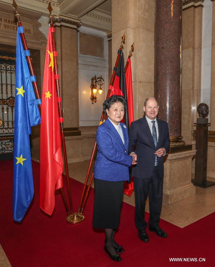 Liu Yandong salue le r?le de Sommet de Hambourg dans le renforcement de la compréhension Chine-UE