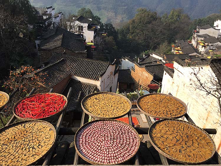 Wuyuan : la beauté idyllique d'un village chinois