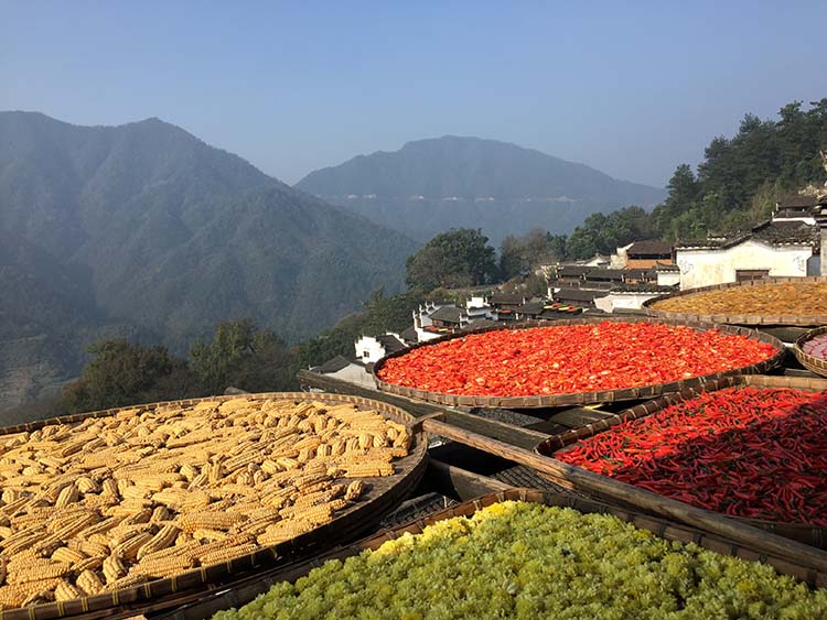 Wuyuan : la beauté idyllique d'un village chinois