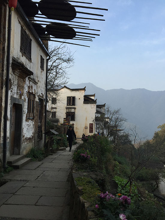 Wuyuan : la beauté idyllique d'un village chinois