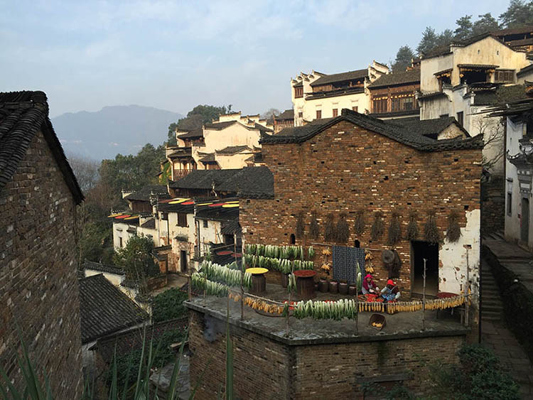 Wuyuan : la beauté idyllique d'un village chinois