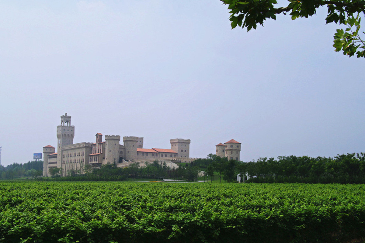 Le domaine viticole du Chateau Changyu Rena désigné Unité innovante de l'industrie du tourisme