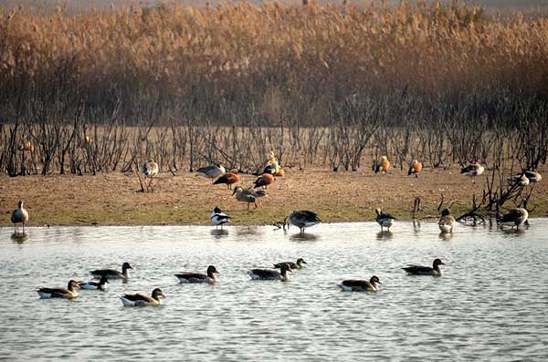 La Chine met l'accent sur la protection de ses rivières