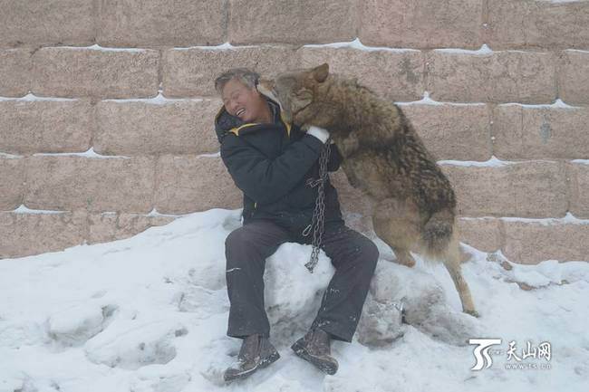 Danse avec les loups dans le Xinjiang