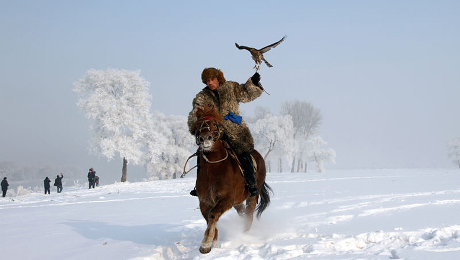 L'aigle, compagnon de chasse du peuple mandchou