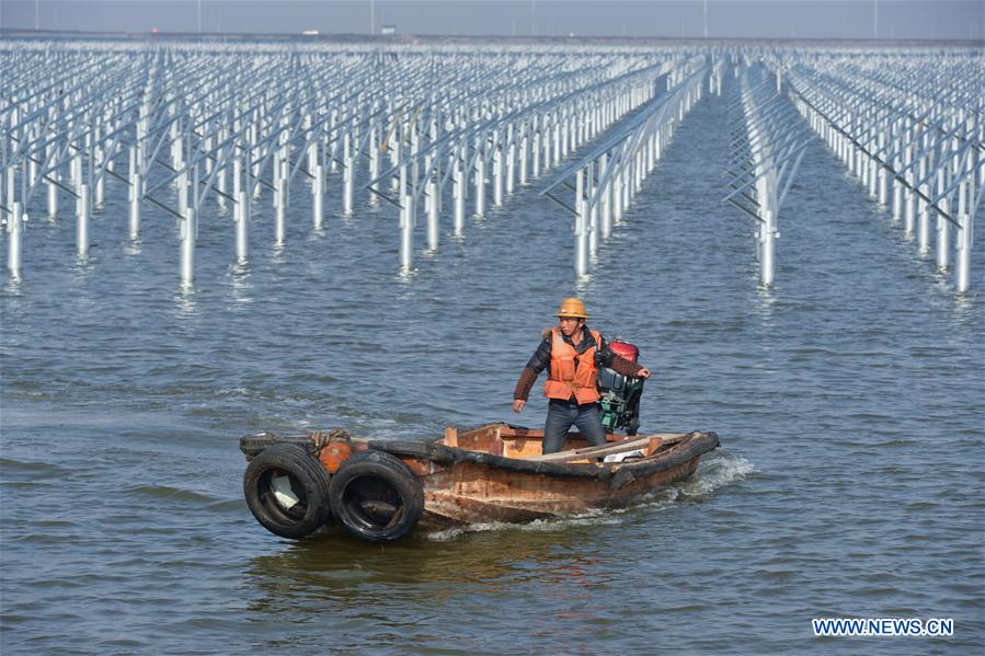 Chine : construction d'un projet d'énergie solaire sur des étangs de pêche