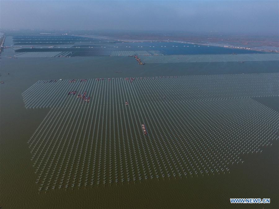 Chine : construction d'un projet d'énergie solaire sur des étangs de pêche