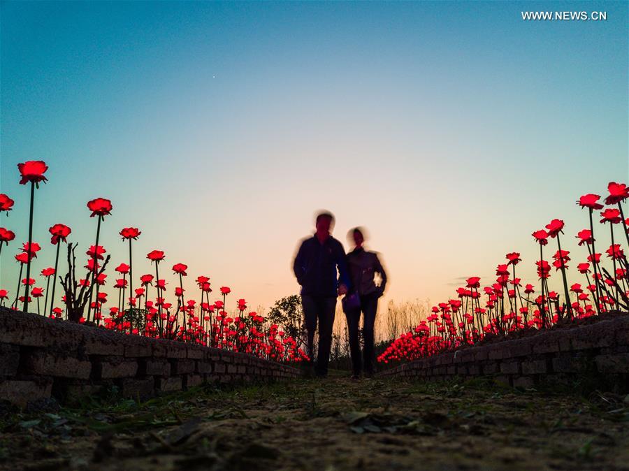 Des milliers de lumières en forme de rose dans le Zhejiang