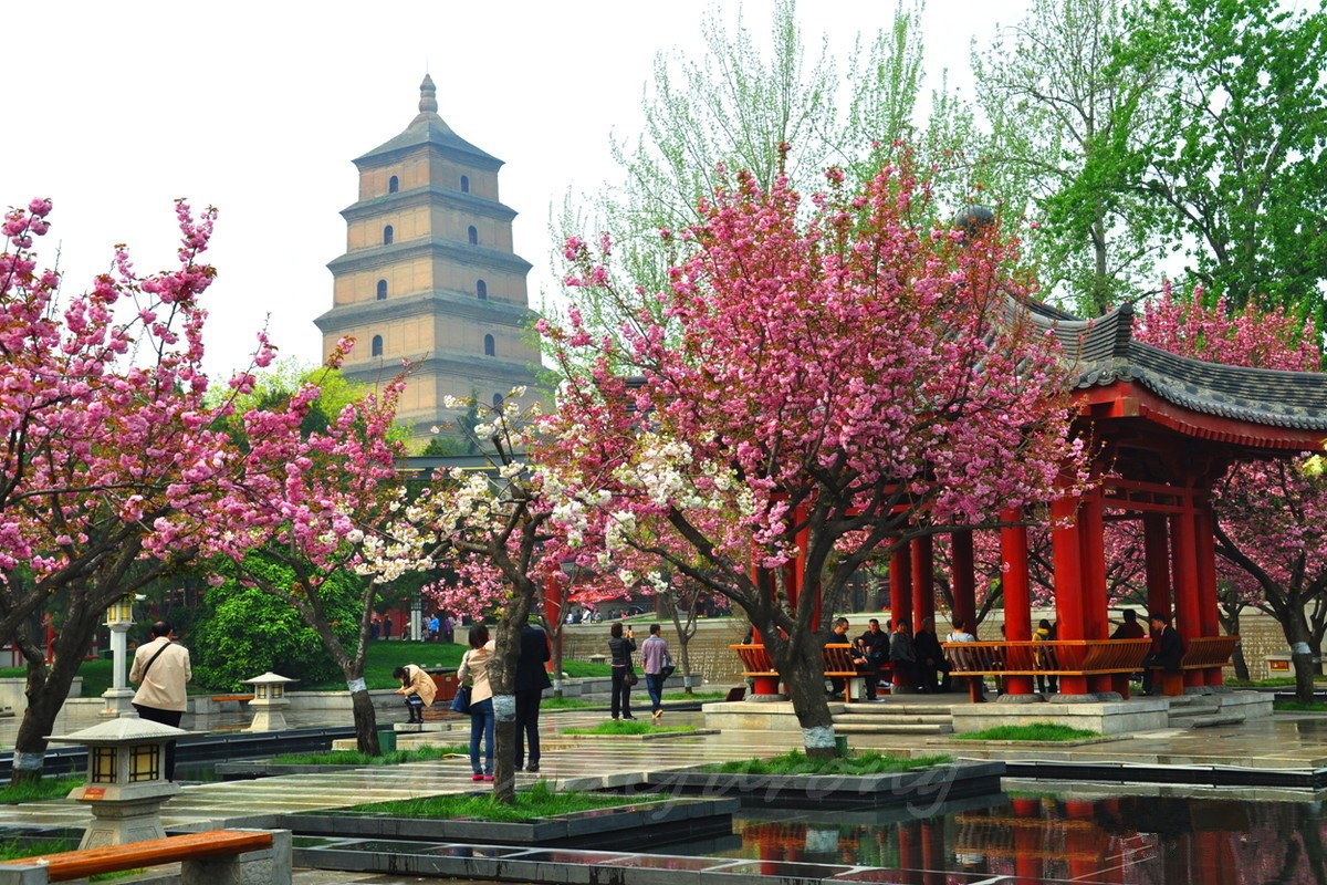 La Grande Pagode de l'Oie Sauvage, monument préféré des voyageurs visitant Xi'an