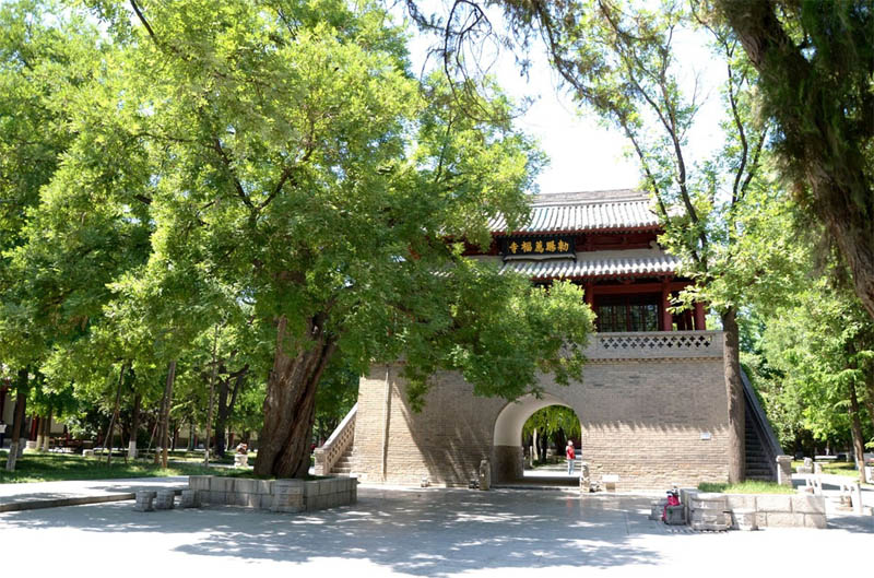 La Petite Pagode de l'Oie Sauvage, patrimoine mondial de l'Unesco