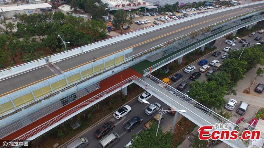 Ouverture de la première piste cyclable surélevée de Chine à Xiamen