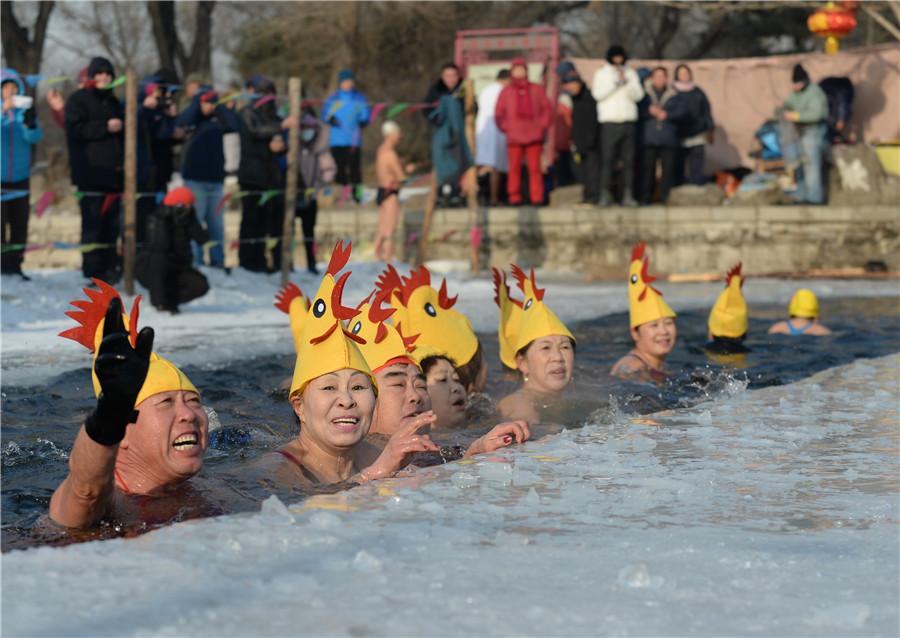 Nage hivernale pour célébrer l'année du coq