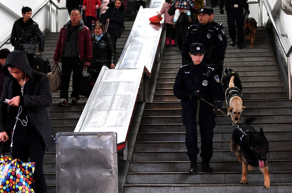 Un chien policier au service de la sécurité ferroviaire