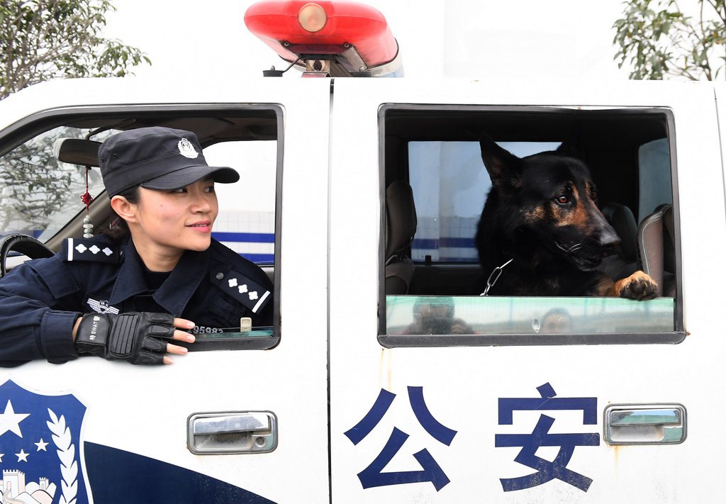 Un chien policier au service de la sécurité ferroviaire