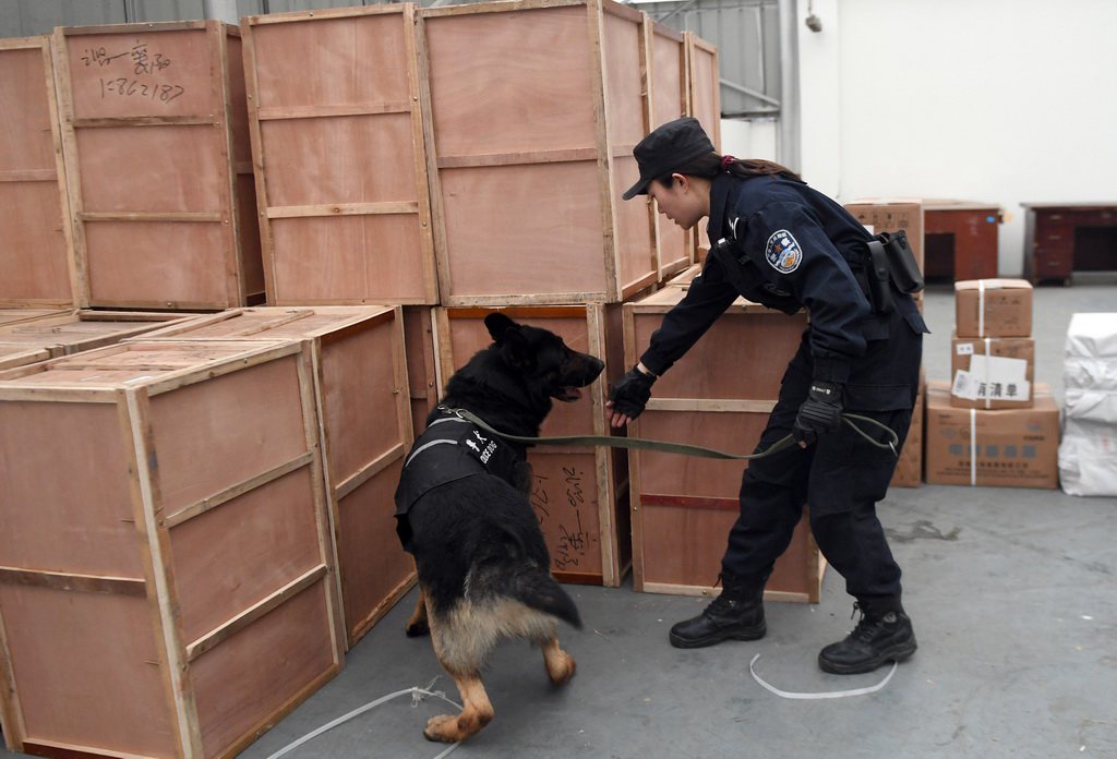 Un chien policier au service de la sécurité ferroviaire